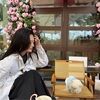 springblossom77